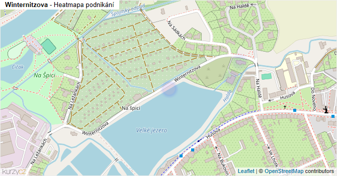 Winternitzova - mapa podnikání