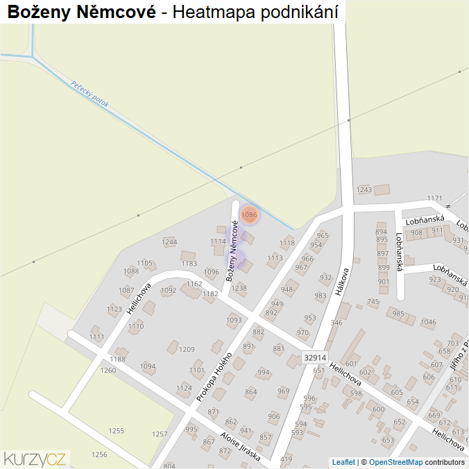 Mapa Boženy Němcové - Firmy v ulici.