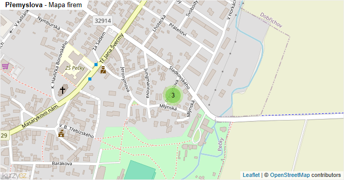 Přemyslova - mapa firem