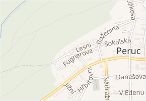 Lesní v obci Peruc - mapa ulice
