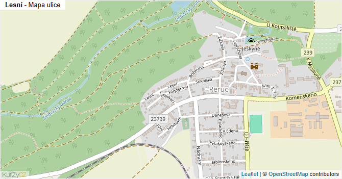 Lesní - mapa ulice