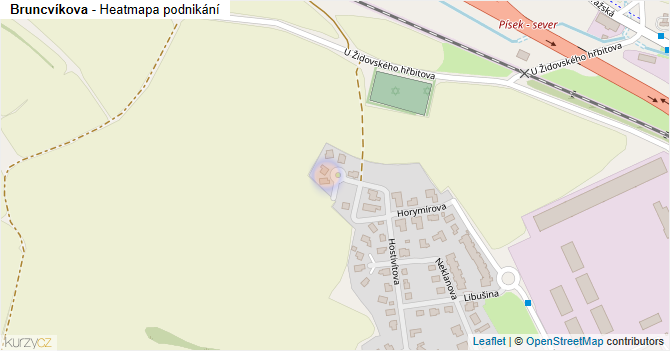 Bruncvíkova - mapa podnikání