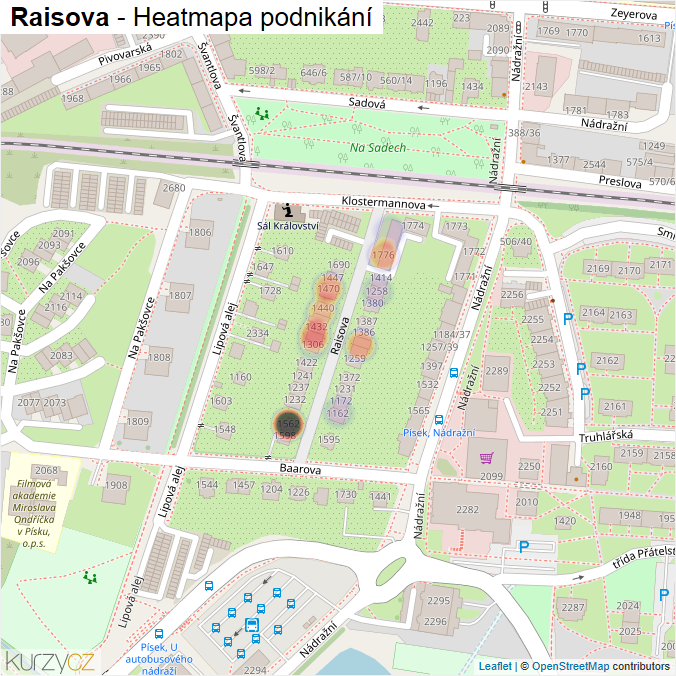 Mapa Raisova - Firmy v ulici.