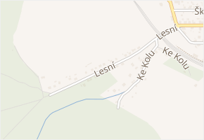 Lesní v obci Plasy - mapa ulice