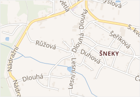 Ve Šnekách v obci Plesná - mapa ulice