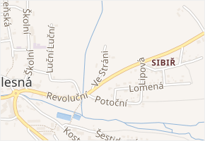 Ve Stráni v obci Plesná - mapa ulice