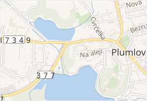Bližník v obci Plumlov - mapa ulice