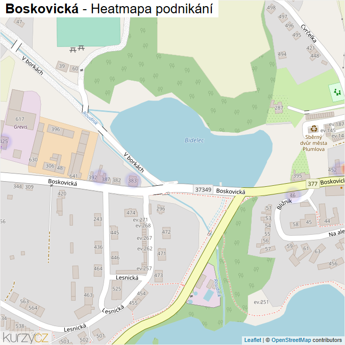 Mapa Boskovická - Firmy v ulici.