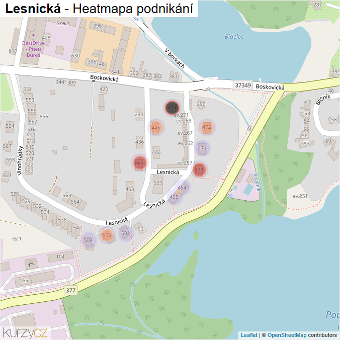 Mapa Lesnická - Firmy v ulici.