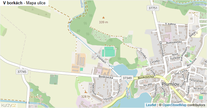V borkách - mapa ulice