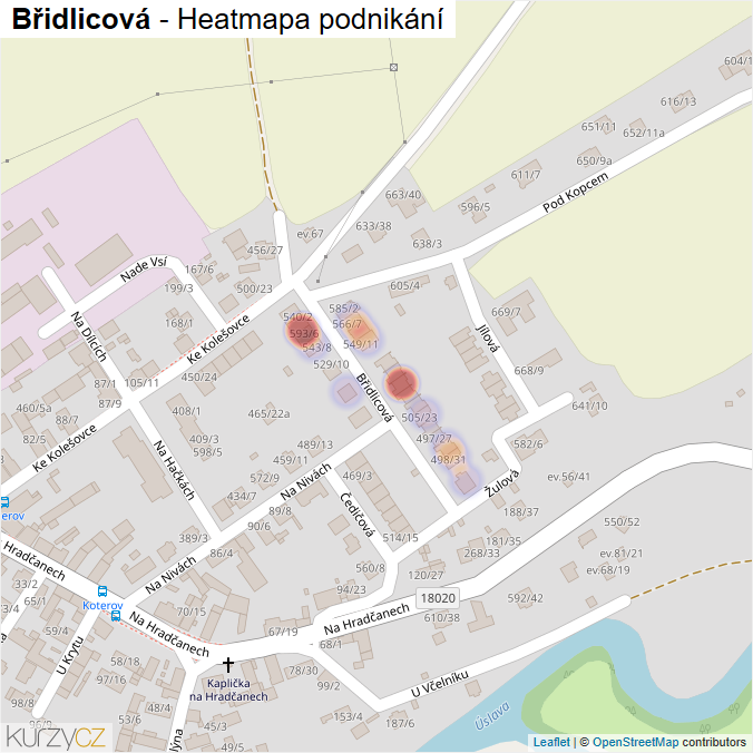 Mapa Břidlicová - Firmy v ulici.