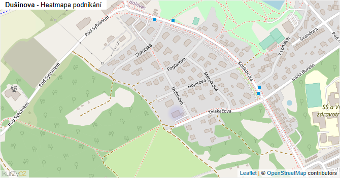 Dušínova - mapa podnikání