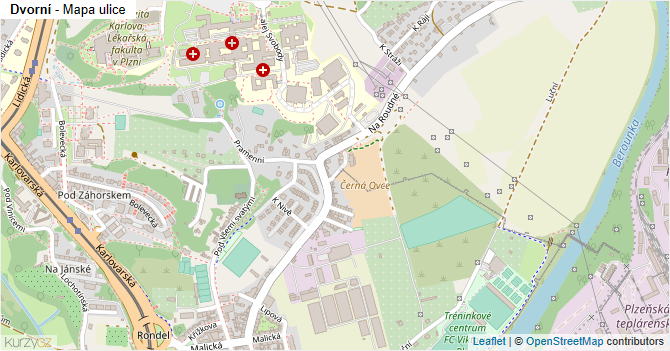 Dvorní - mapa ulice