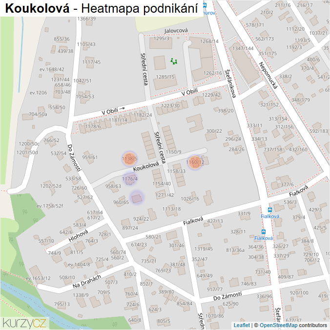 Mapa Koukolová - Firmy v ulici.