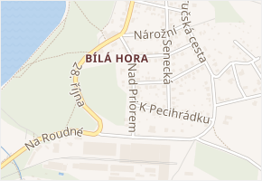 Nad Priorem v obci Plzeň - mapa ulice