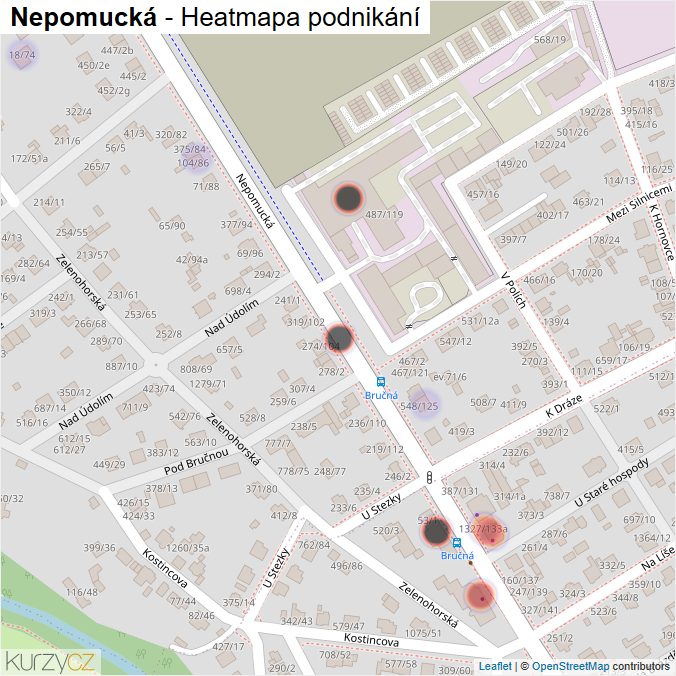 Mapa Nepomucká - Firmy v ulici.