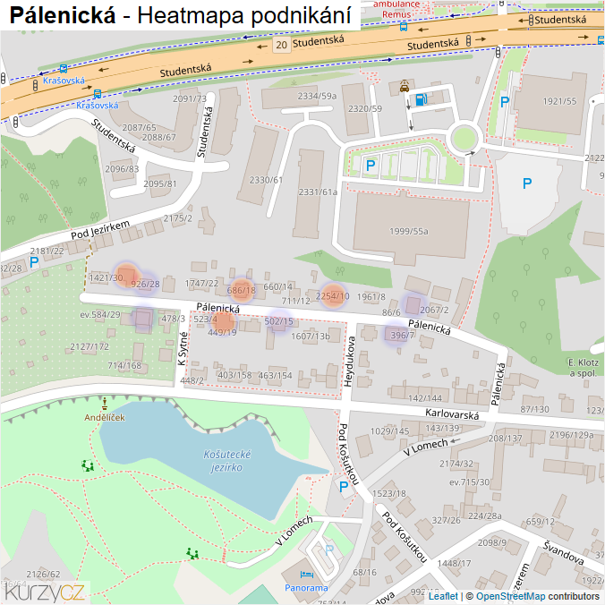 Mapa Pálenická - Firmy v ulici.