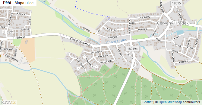 Pěší - mapa ulice