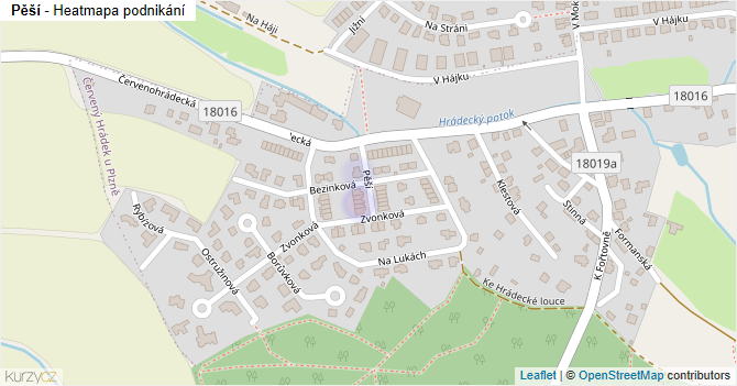 Pěší - mapa podnikání