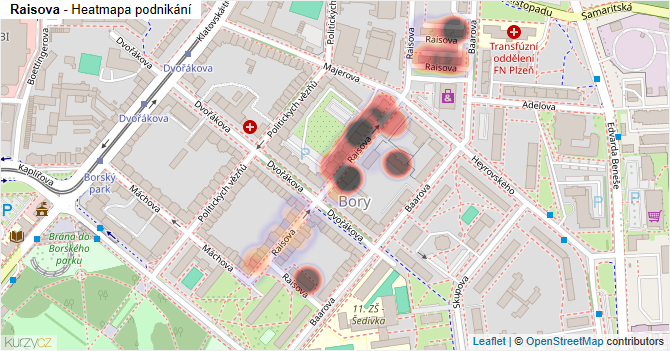 Raisova - mapa podnikání