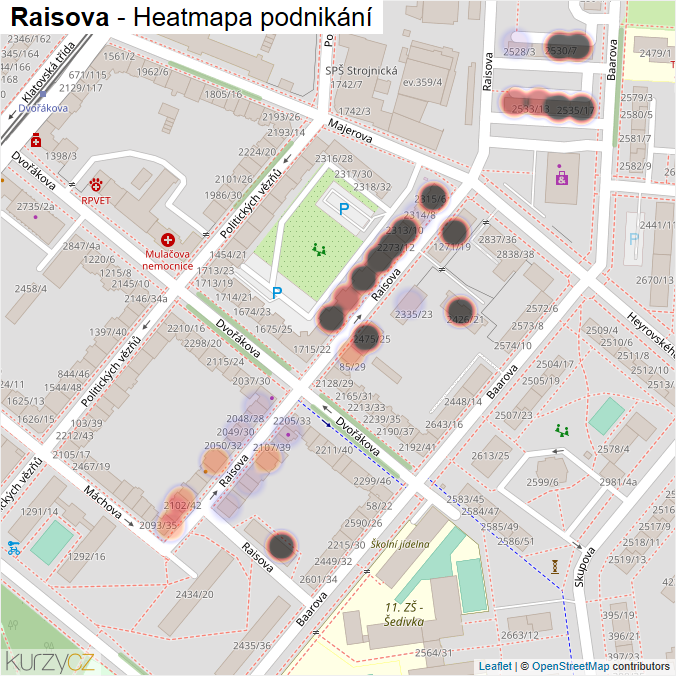 Mapa Raisova - Firmy v ulici.