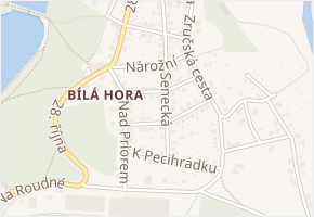 Řepová v obci Plzeň - mapa ulice