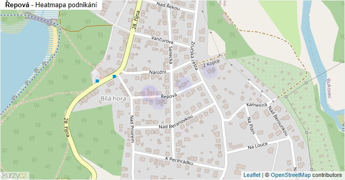 Řepová - mapa podnikání