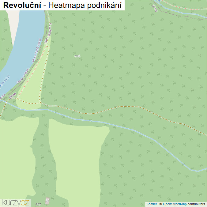 Mapa Revoluční - Firmy v ulici.