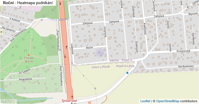 Roční - mapa podnikání