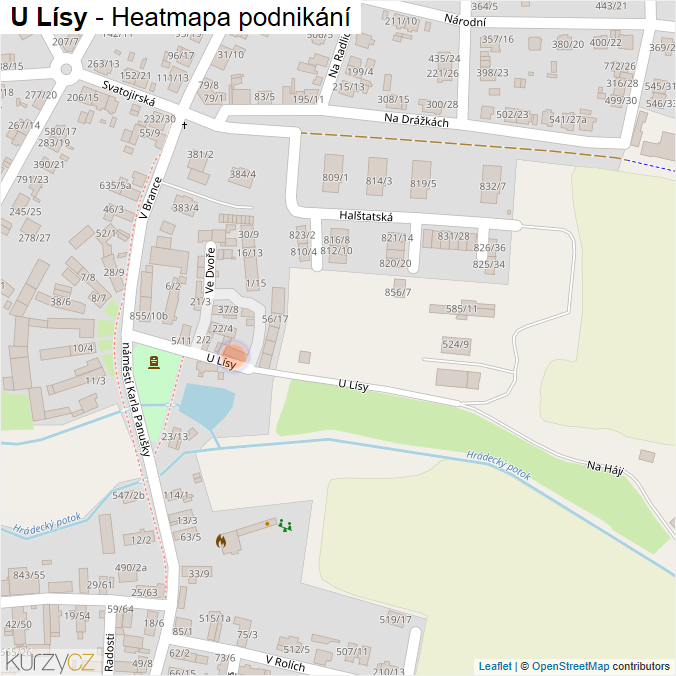 Mapa U Lísy - Firmy v ulici.
