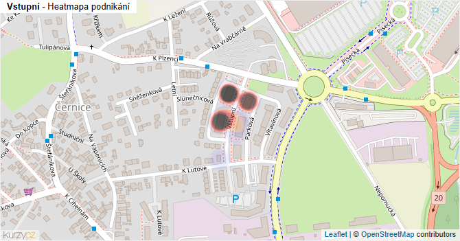 Vstupní - mapa podnikání