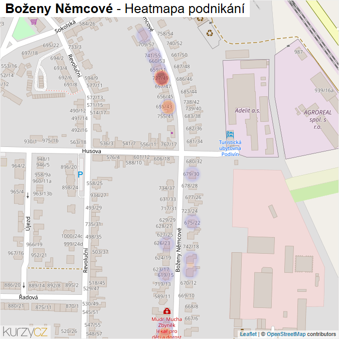 Mapa Boženy Němcové - Firmy v ulici.