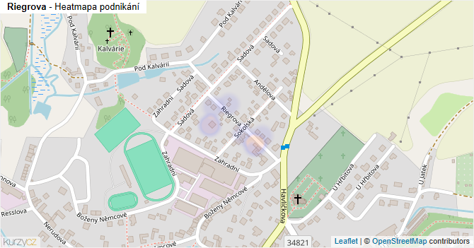 Riegrova - mapa podnikání