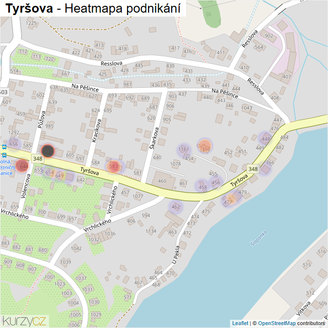 Mapa Tyršova - Firmy v ulici.