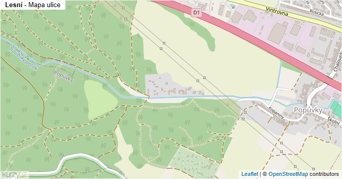 Lesní - mapa ulice