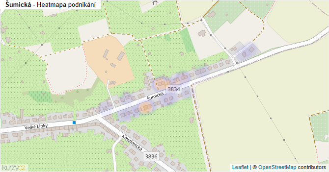 Šumická - mapa podnikání