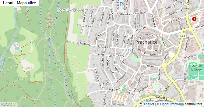 Lesní - mapa ulice