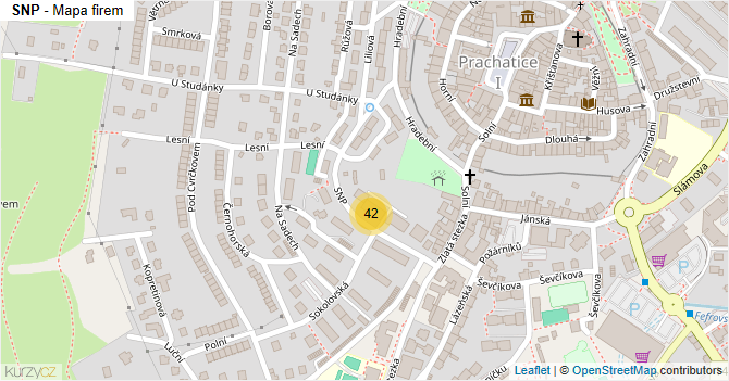 SNP - mapa firem