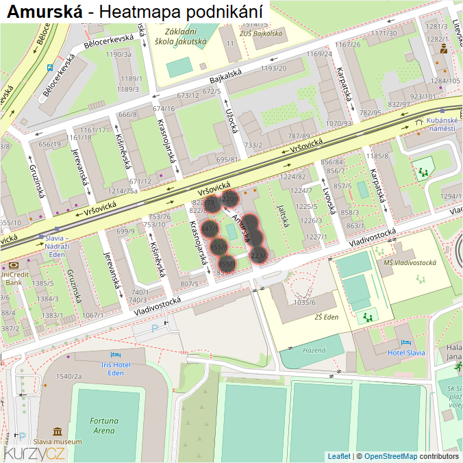 Mapa Amurská - Firmy v ulici.