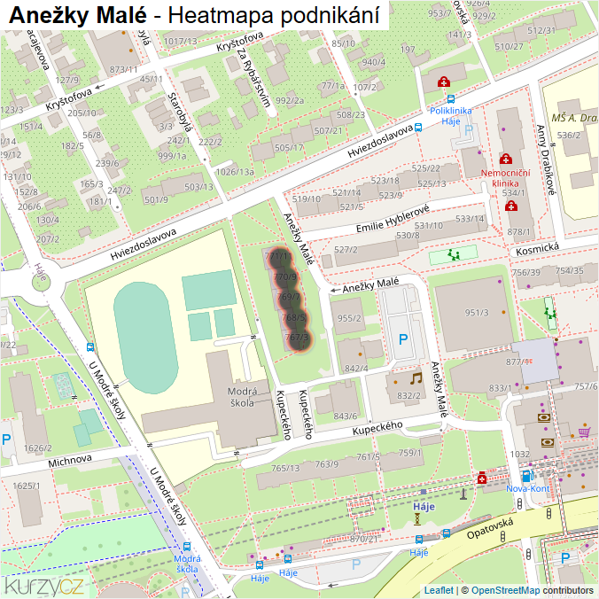 Mapa Anežky Malé - Firmy v ulici.