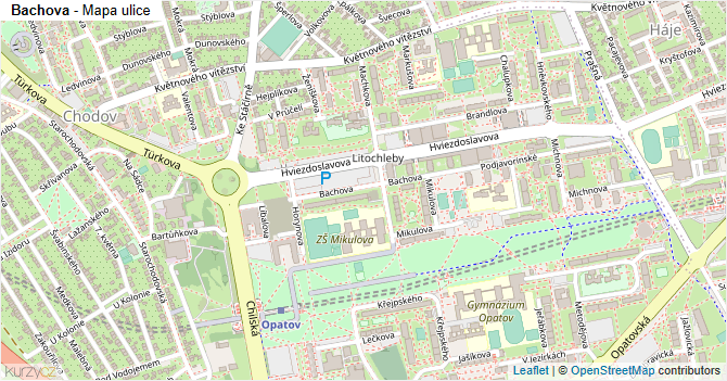 Bachova - mapa ulice