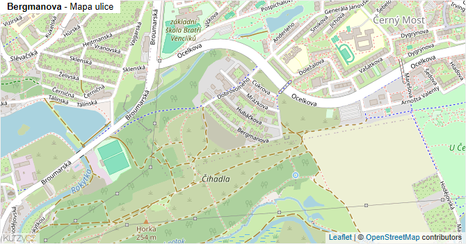 Bergmanova - mapa ulice