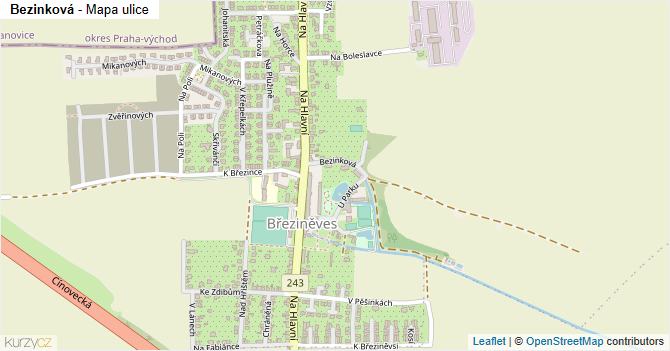 Bezinková - mapa ulice