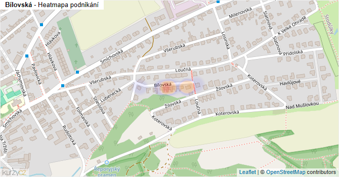 Bílovská - mapa podnikání