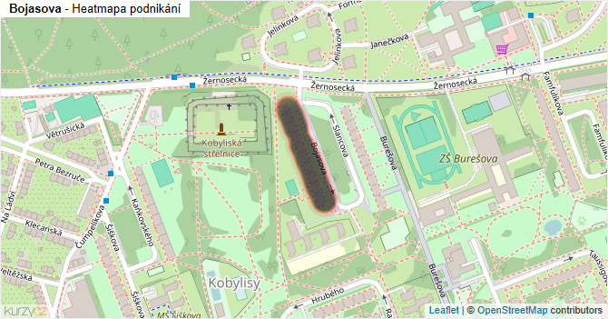 Bojasova - mapa podnikání
