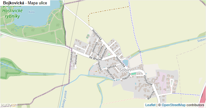 Bojkovická - mapa ulice