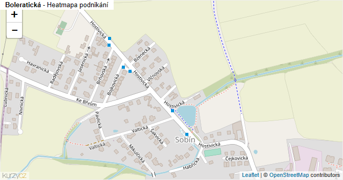 Boleratická - mapa podnikání