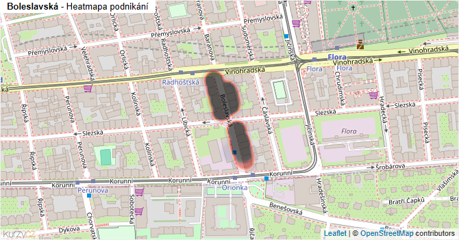 Boleslavská - mapa podnikání