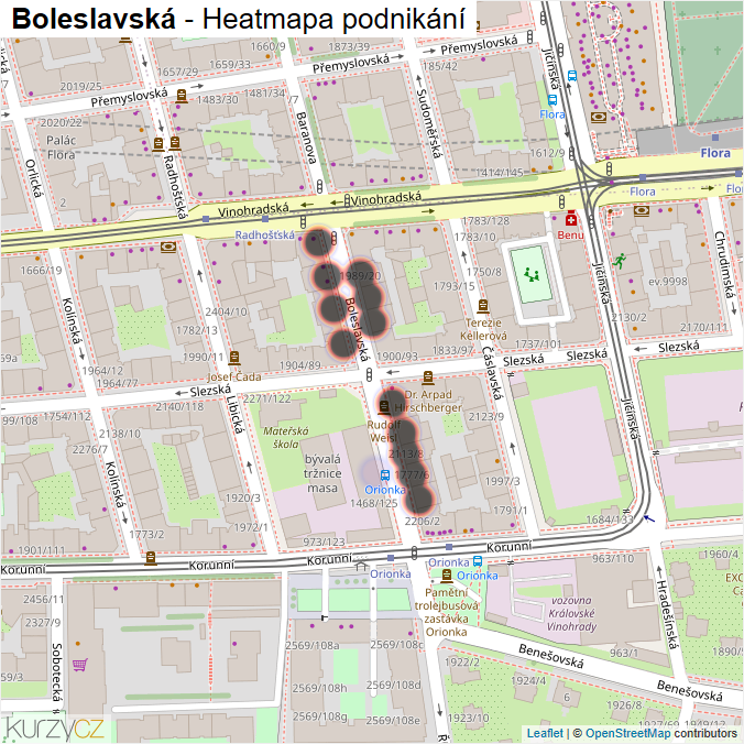 Mapa Boleslavská - Firmy v ulici.