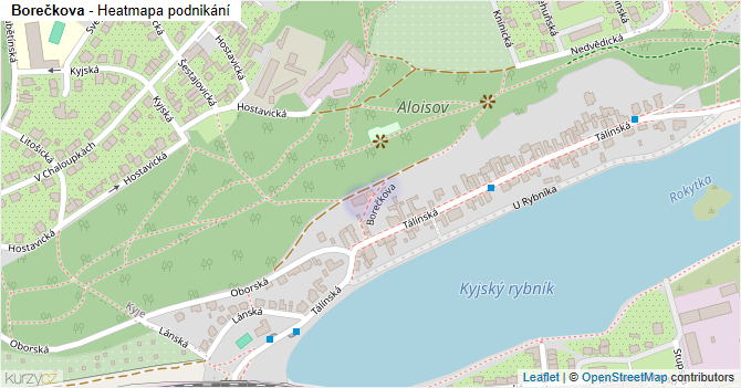 Borečkova - mapa podnikání